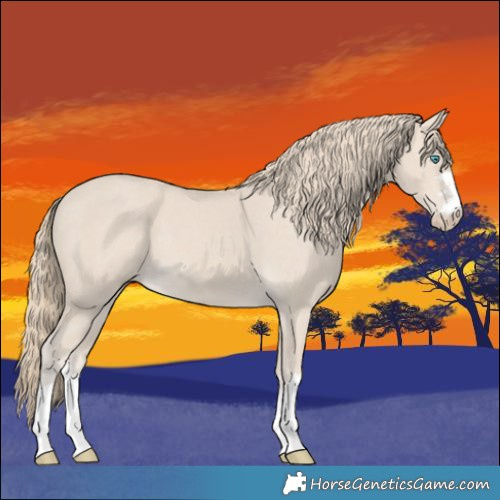 Horse Color:Smoky Creme 