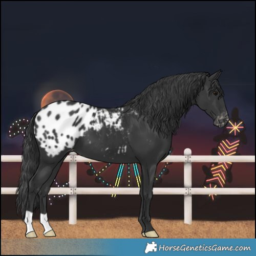 Horse Color:Black Blanket 