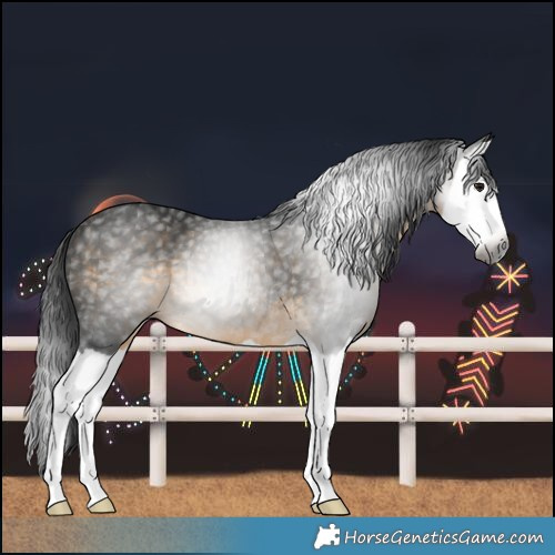 Horse Color:Gray Buckskin Splash Rabicano 
