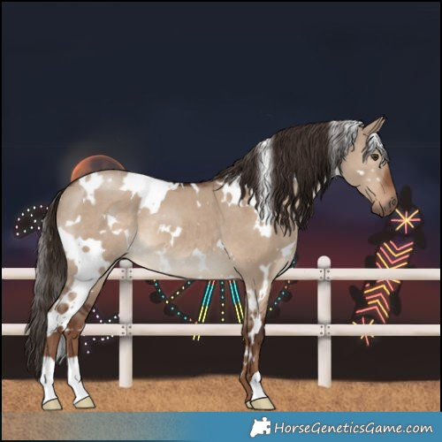 Horse Color:White Spotted Liver Red Dun 