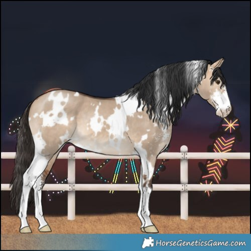 Horse Color:White Spotted Bay Dun Sabino 