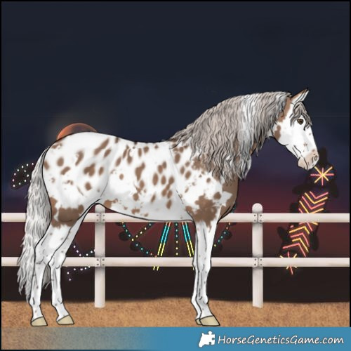 Horse Color:White Spotted Silver Brown Dun Splash Blanket 