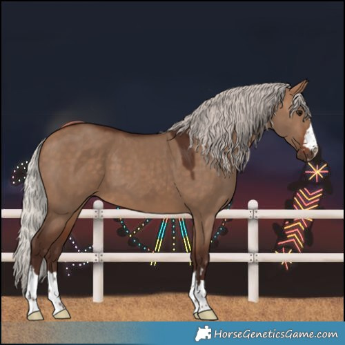 Horse Color:Silver Brown Dun 