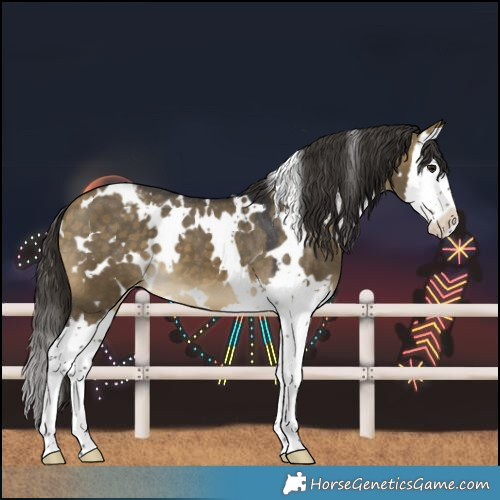 Horse Color:White Spotted Buckskin Dun Splash Varnish 