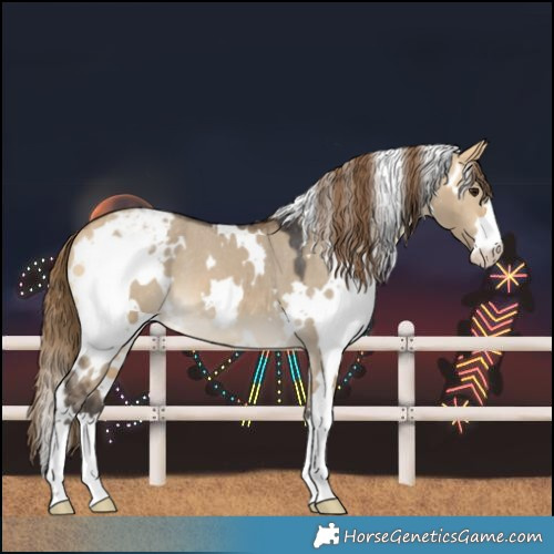 Horse Color:White Spotted Buckskin Dun Varnish 