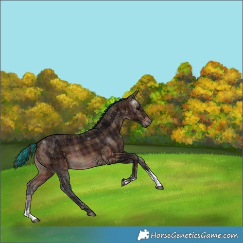 Horse Color:Painted Plaid  Brown Ice Sabino 