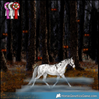 Horse Color:Platinum White Spotted Liver Red Dun Mushroom Tobiano Near Leopard Rabicano