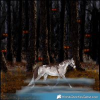 Horse Color:Platinum White Spotted Chocolate Bay Dun Mushroom Rabicano