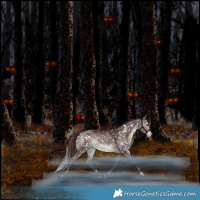 Horse Color:Platinum White Spotted Chocolate Bay Dun Mushroom Snowflake Varnish Rabicano