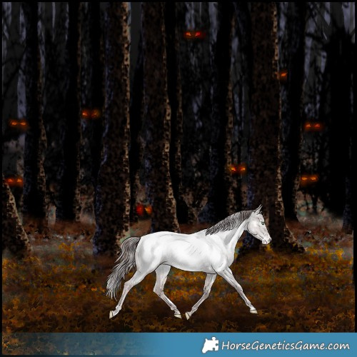 Horse Color:Platinum White Spotted Chocolate Bay Pearl Dun Mushroom Appaloosa Rabicano