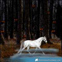 Horse Color:Platinum White Spotted Chocolate Bay Pearl Dun Mushroom Appaloosa Rabicano 
