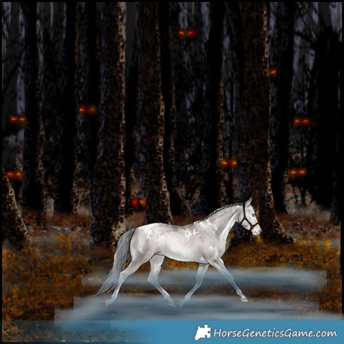 Horse Color:Platinum White Spotted Liver Red Dun Pearl Mushroom Tobiano Rabicano 