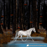 Horse Color:Platinum White Spotted Liver Red Dun Pearl Mushroom Tobiano Rabicano