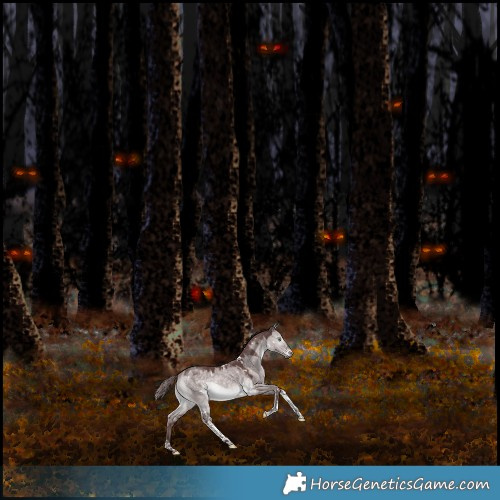 Horse Color:Platinum White Spotted Chocolate Brown Dun Mushroom Tobiano Rabicano