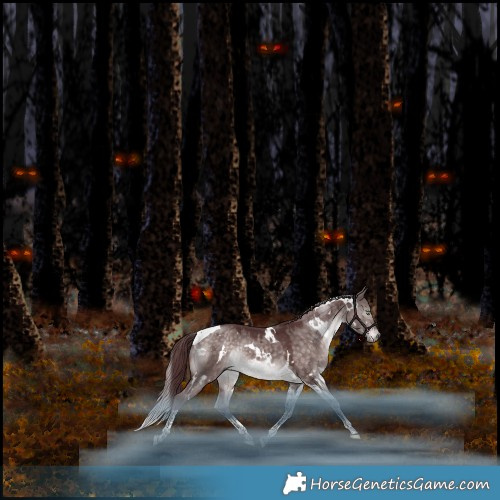 Horse Color:Platinum White Spotted Chocolate Brown Dun Mushroom Tobiano Rabicano 