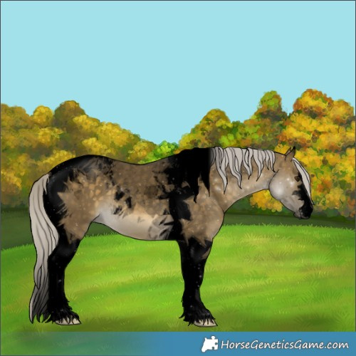 Horse Color:Void Silver Buckskin Dun Tobiano 