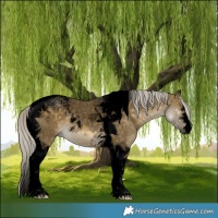 Horse Color:Void Silver Buckskin Dun Tobiano 