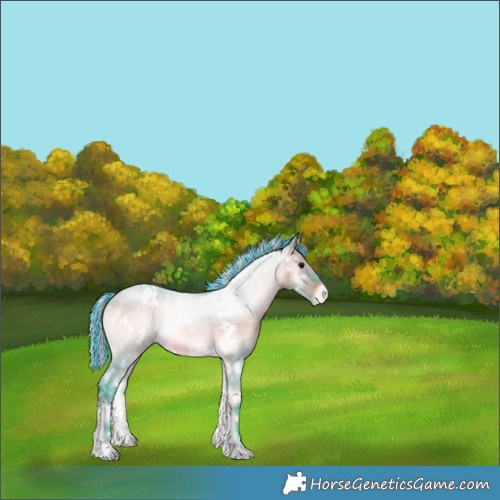 Horse Color:Painted Watercolor White Spotted Silver Brown Onyx Varnish Rabicano 