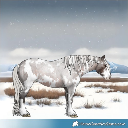 Horse Color:White Spotted Silver Brown Sabino 