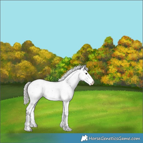 Horse Color:Silver Brown Sabino 
