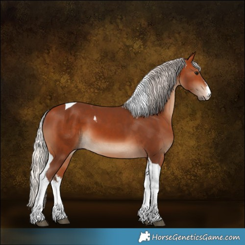 Horse Color:White Spotted Silver Bay Tobiano 