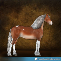 Horse Color:White Spotted Silver Bay Tobiano 