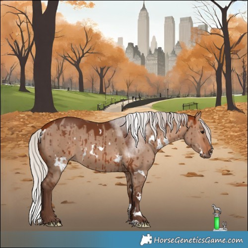 Horse Color:White Spotted Silver Bay Dun Brindle 