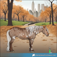Horse Color:White Spotted Silver Bay Dun Brindle