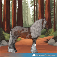 Horse Color:Silver Brown Merle Tobiano 