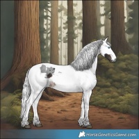 Horse Color:Brown Merle Tobiano 