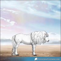 Horse Color:White Spotted Buckskin Merle Tobiano