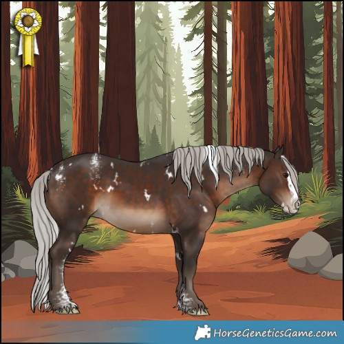 Horse Color:Powder White White Spotted Silver Brown Splash 