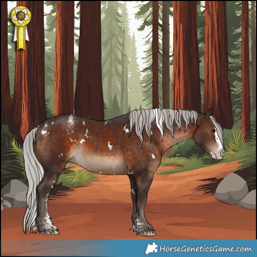 Horse Color:Powder White White Spotted Silver Brown Splash 