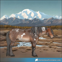 Horse Color:White Spotted Bay Merle
