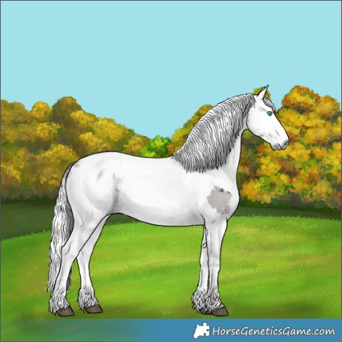 Horse Color:White Spotted Brown Merle 