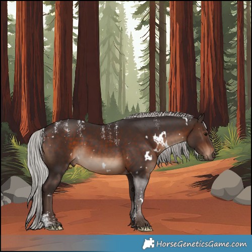 Horse Color:Powder White White Spotted Silver Brown