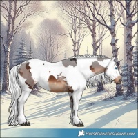 Horse Color:Silver Brown Merle 