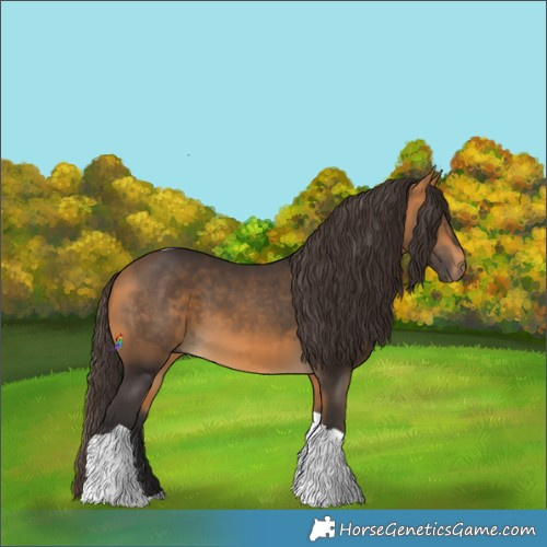 Horse Color:Buckskin Tobiano