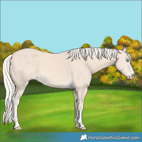 Horse Color:Cremello 