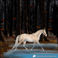 Horse Color:White Spotted Liver Red Dun Snowdrop Pearl Tobiano Rabicano
