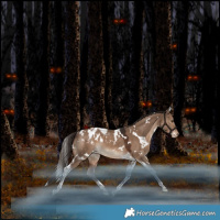 Horse Color:White Spotted Liver Red Dun Tobiano Blanket Rabicano