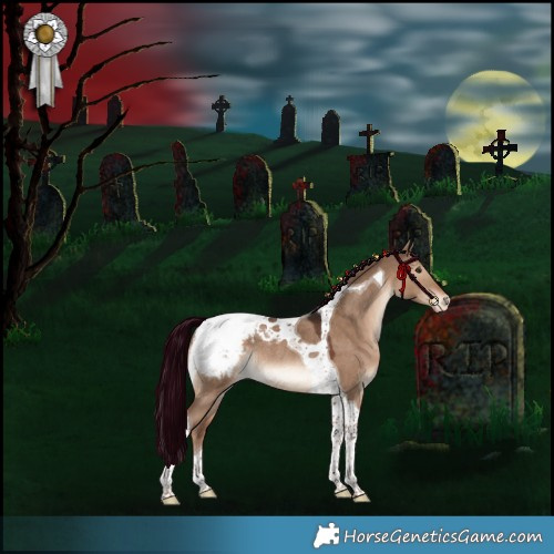 Horse Color:Liver Red Dun Tobiano Appaloosa Rabicano 