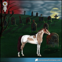 Horse Color:Liver Red Dun Tobiano Appaloosa Rabicano 