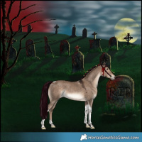Horse Color:Liver Red Dun Tobiano Rabicano 