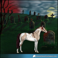 Horse Color:Liver Red Dun Tobiano Appaloosa Rabicano 