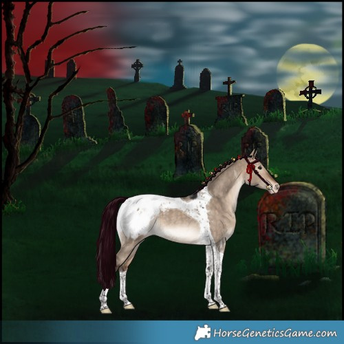 Horse Color:Bay Dun Tobiano Appaloosa Rabicano 