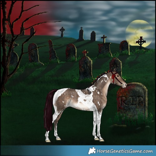 Horse Color:White Spotted Brown Dun Tobiano Appaloosa Rabicano 