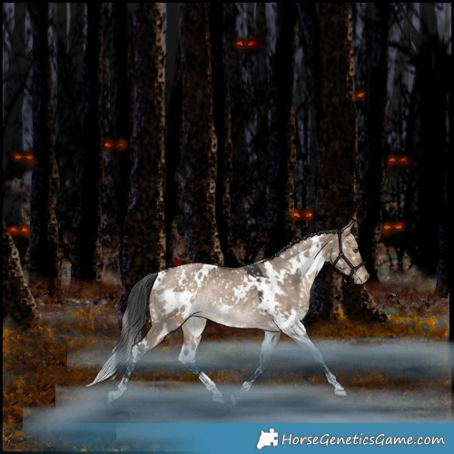 Horse Color:White Spotted Brown Dun Appaloosa Rabicano 