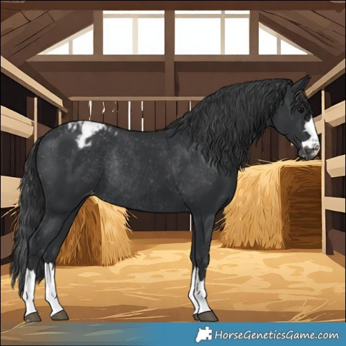 Horse Color:Black Varnish Rabicano 