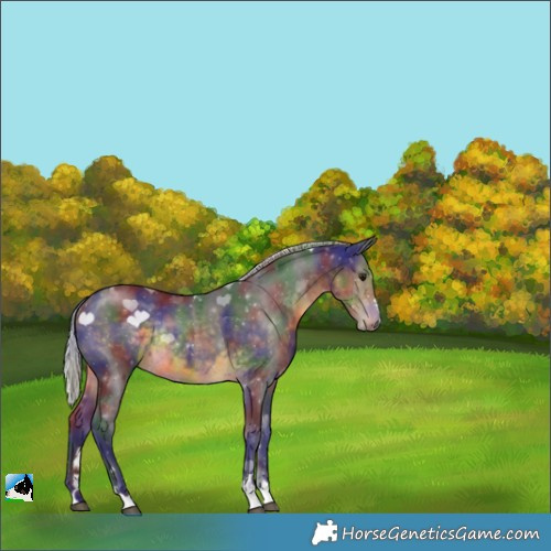 Horse Color:Nacre Silver Buckskin Rabicano